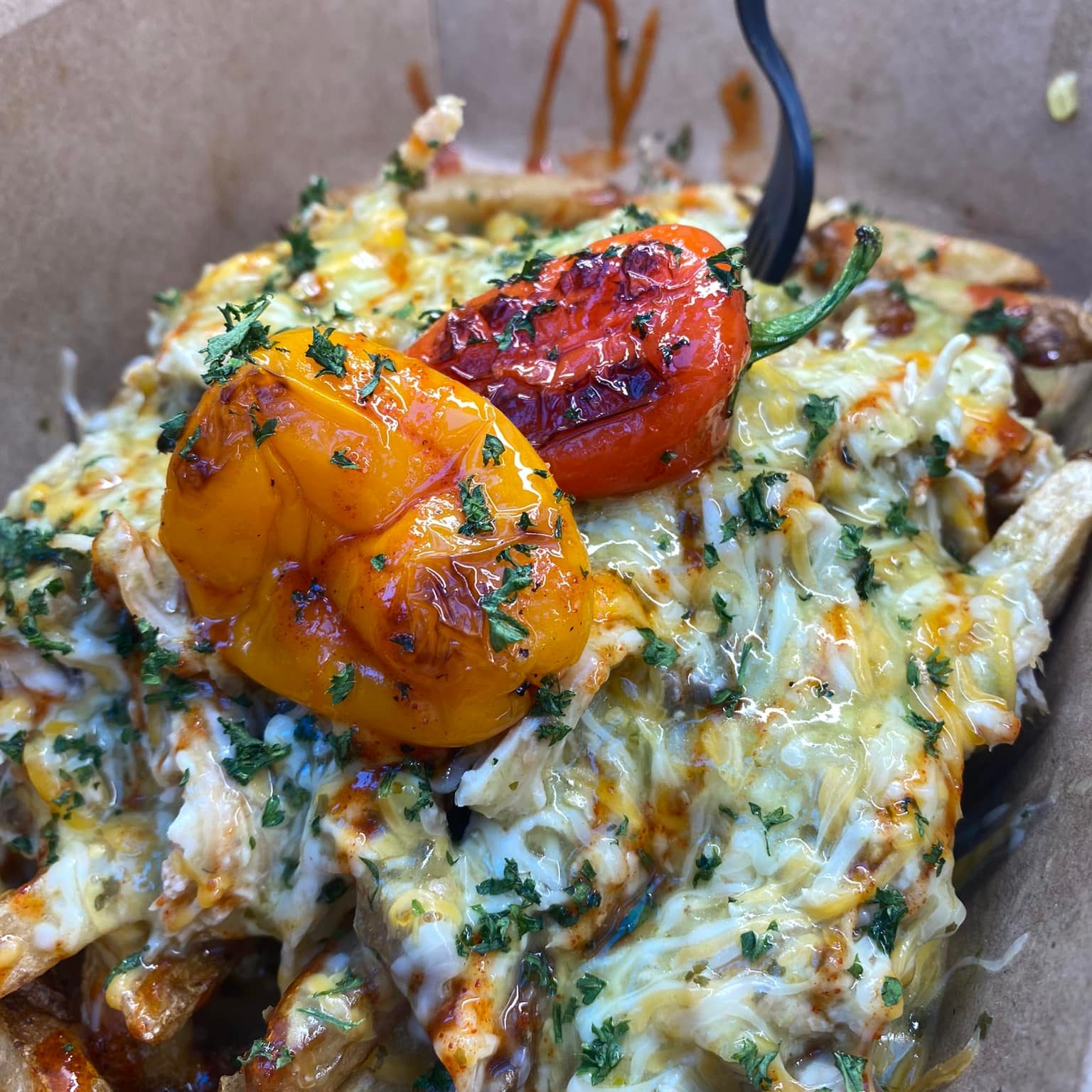 Chicken Enchilada Fries